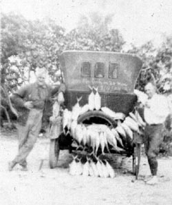 1924 fishing Sanibel Captiva 250 pounds of fish